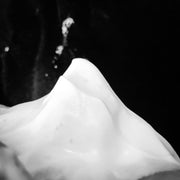 Murphy and McNeil Shaving Soap Kells Shaving Soap - by Murphy and McNeil