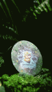 Noble Otter Fulfillment Shave Soap Noble Otter Rainroot Shave Soap