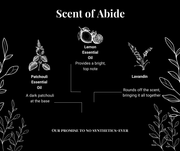 The Sudsy Soapery Natural Products, LLC Shaving Soap Abide Beef Tallow Shaving Soap
