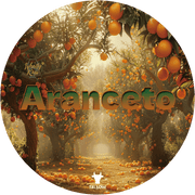 WhollyKaw Fulfillment Shave Soap Tallow - Siero WhollyKaw Aranceto Shaving Soap